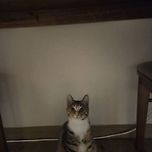 우리포도 7개월 됐어요 이미지