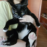 1초 곰인형 이미지