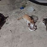 맛있는 저녁 식사 이미지