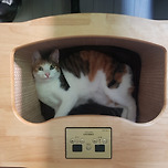 너만 좋다면 내 수족냉증이야 뭐..됐다.. 이미지