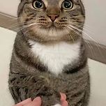 손이 예쁜 편 이미지