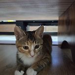 엄마만 보면 좋아서 이미지