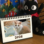 2026 유기묘 보호소 기부 탁상 달력을 판매합니다🐾 이미지