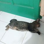 This is my pretty girl 이미지