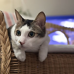 호기심천국 이미지