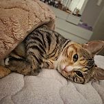 포도는 엄마랑 같이 자요 이미지