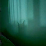 자려고 누워서 벽보고 깜놀람(달빛에~) 이미지