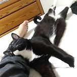 같이 산지 언 10년 이미지