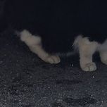 밥 먹자 이미지