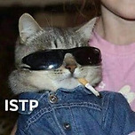 ISTP 헌정짤 이미지