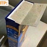 사람들 : 드디어 INTP이 마음을 열었다!!! 이미지