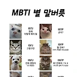 MBTI 별 말버릇.jpg 이미지