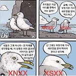 N과 S의 대화 이미지