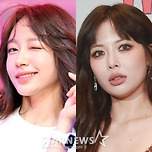 &#34;파혼은 놉!&#34;..하니♥양재웅·현아♥용준형, 뜯어말려도 &#39;결혼할 결심&#39;[★FOCUS] 이미지