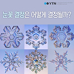 신비한 &#39;눈 결정&#39; 모양은 어떻게 결정될까? 이미지