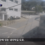 강원도 정선에서 발생한 사망사고 이미지