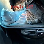 새총 쏴 기러기·오소리 등 잡았다…중국인 3명 폰에 학대영상 1만개 이미지