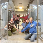 미국에서 일어난 크리스마스의 기적 이미지