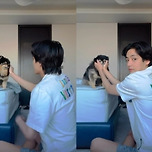 BTS 뷔, 반려견 떠나보냈다 "강아지별로 긴 여행..한 번씩 떠올려 주시길" 먹먹[전문] 이미지