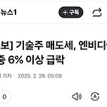 엔비디아 장중 6% 이상 급락 이미지