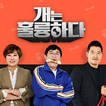 &#39;개훌륭&#39;, 강형욱 사태 여파로 잠정 폐지…&#34;리뉴얼 예정&#34; 이미지