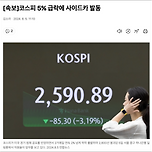 주식시장이 속절없이 무너지고 있군요. 이미지