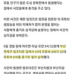 평일 대낮 분주한 부산 법조타운서 유튜버 살인사건…시민 충격 이미지