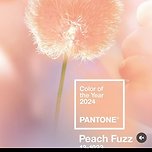 2024 팬톤 올해의 컬러 ”피치 퍼즈“ 이미지