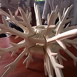 산호초 멸종 대책…3D 프린터로 만든 인공 산호 설치 이미지