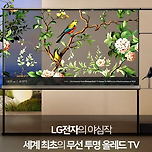 LG에서 세계최초 무선 “투명” 올레드 TV 개발완료 이미지