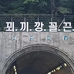 꾀끼깡꼴끈이 뭔지 아시는 분? 이미지