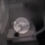 산후조리원서 생후 9일 아기 학대...분유 안 먹는다고 이미지