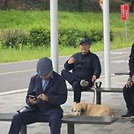 &#34;윤석열, 한강공원서 반려견 산책&#34;…시민 목격담 확산 이미지