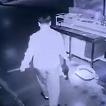 천안 길고양이 학대범, 유명 셰프였다…SNS 비공개 전환 이미지