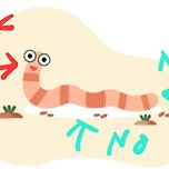 지렁이 구조대, 역시 나만 그런생각한게 아니었어.. 이미지