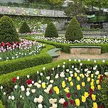 진짜 오랜만에 테이블 돌아옴 이미지