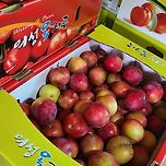 벌써 의성자두가나와요♡ 이미지