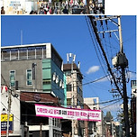 홍대 할로윈 데이 축제 금지 이미지