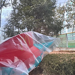 해피밀 토이 받아왔다~ 이미지