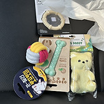 강쥐 크리스마스선물 이미지