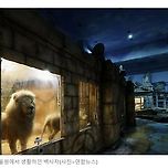 인간은 뭘까 이미지