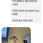 gpt 와꾸? 확인하는게 유행인가보다 이미지