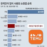 테무는 중국의 공급과잉이 낳은 유통 교란종이라고... 이미지