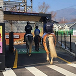 자전거로 드라이브 스루 될까 안될까?? 이미지