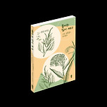 풀씨는 힘이 세다 이미지