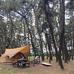 태안 몽산포 국립공원 야영장 이미지