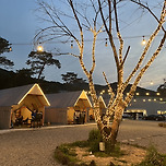 서울에서 하는 글램핑 이미지