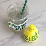 그 유명한 아이돌 붓기빼는 차 레시피 이미지