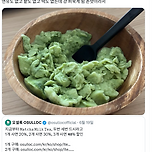 우유에 오설록 말차 밀크티 타서 지퍼백에 넣고 얼리면 이미지