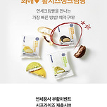 연세 황치즈생크림빵 재출시 이미지